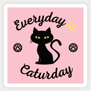 Everyday is Caturday Sticker